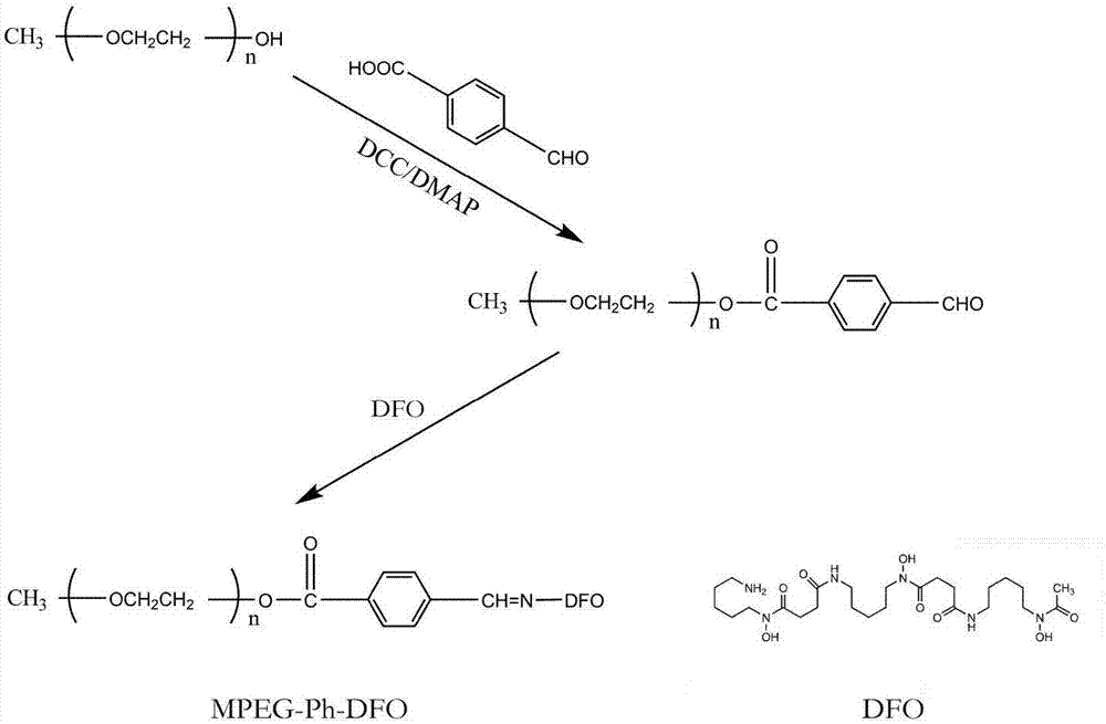 Long circulation iron chelator with pH response characteristic