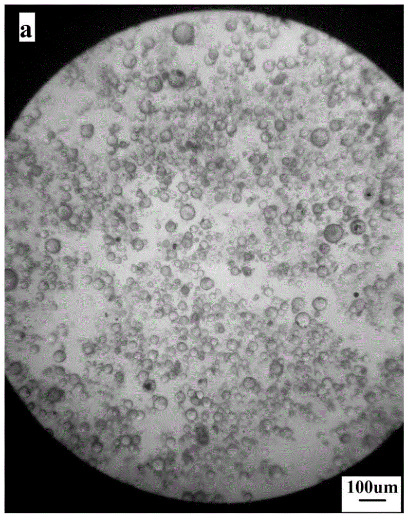 Method for preparing magnetic molecularly-imprinted adsorbent