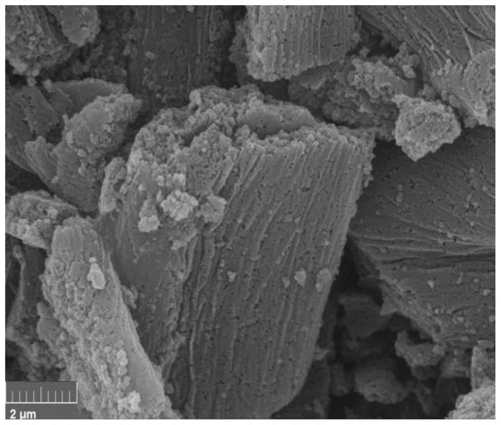 Lithium-sulfur battery iron-based biomass carbon intermediate layer, preparation method thereof and lithium-sulfur battery