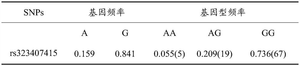 Pig multi-omics integrated precision breeding method