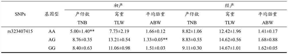 Pig multi-omics integrated precision breeding method