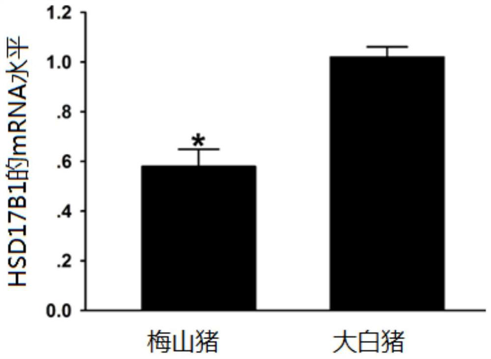 Pig multi-omics integrated precision breeding method