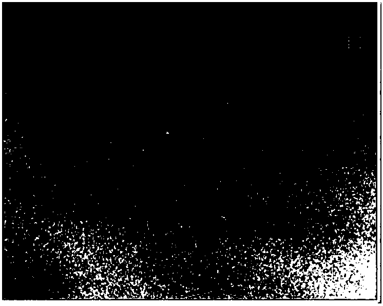 A method and apparatus for detecting infrared dim small targets under a complex background