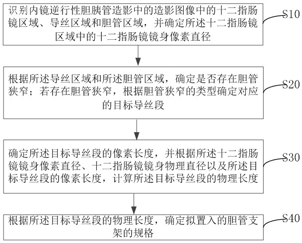 Bile duct stent specification selection method and device