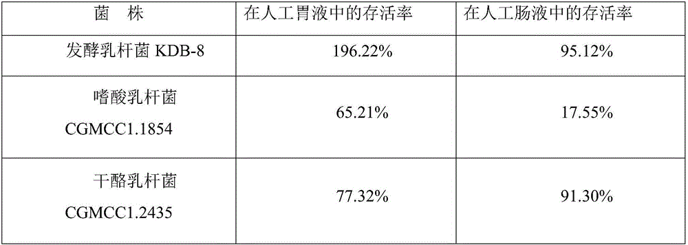 Lactic acid bacterium preparation and application thereof in treatment of gastric ulcer