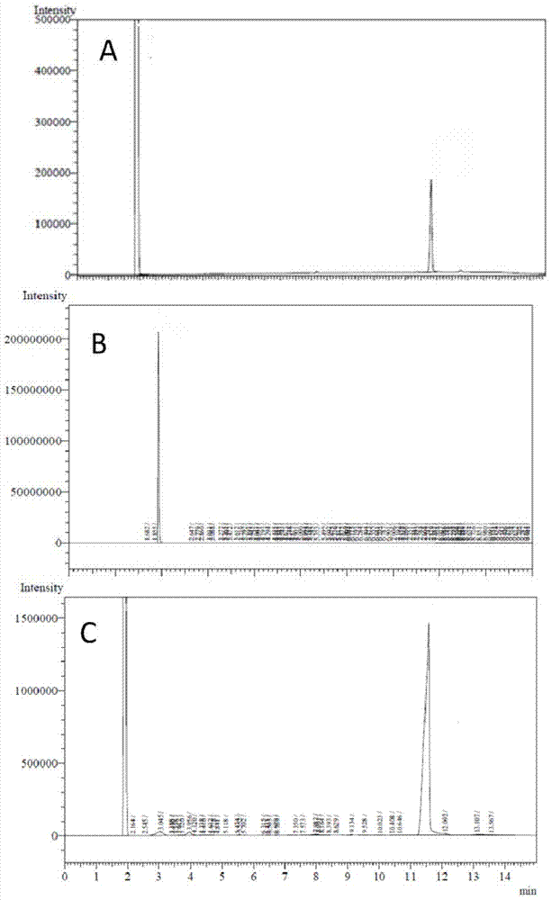 Borneol and oleum fructus bruceae nanoemulsion and preparation method thereof