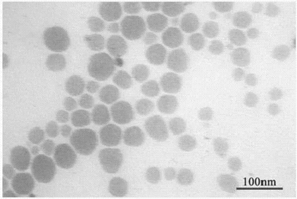 Borneol and oleum fructus bruceae nanoemulsion and preparation method thereof