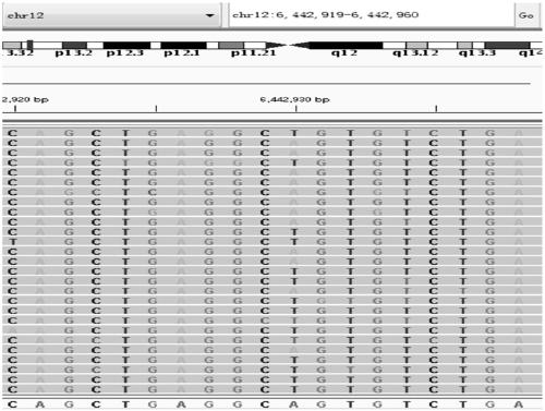 Probe set and kit for detecting pathogenic gene of autoinflammatory disease