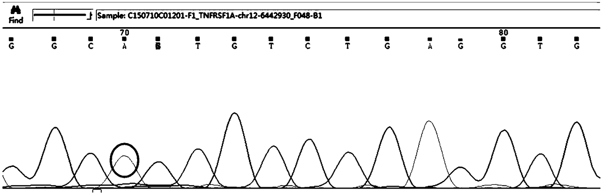 Probe set and kit for detecting pathogenic gene of autoinflammatory disease