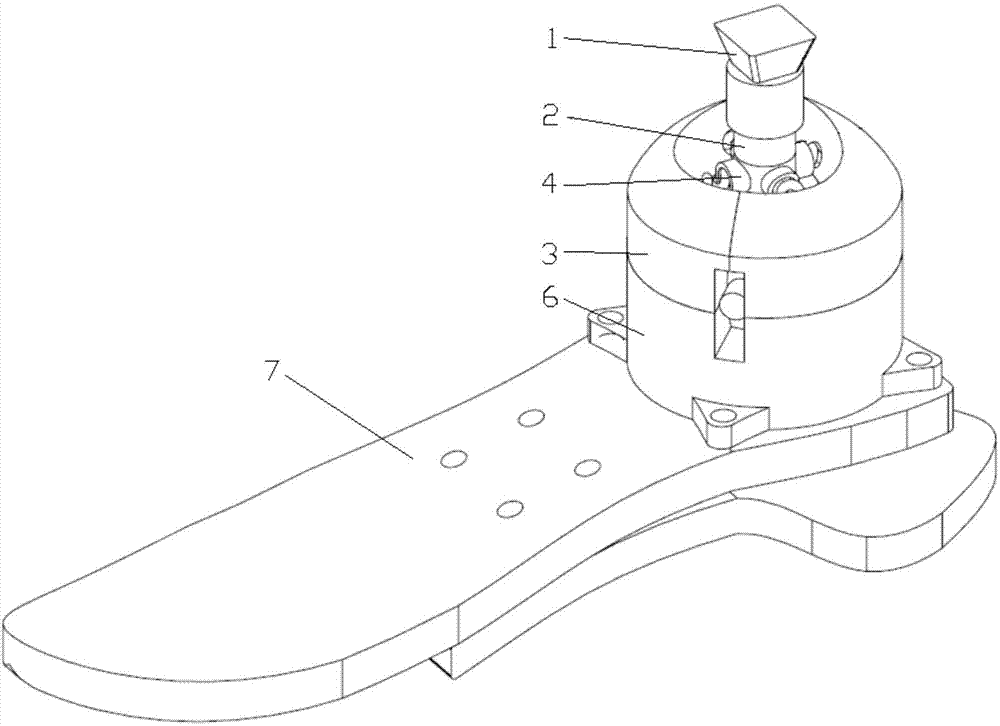 Two-degree-of-freedom limited anisotropic flexible bionic ankle joint