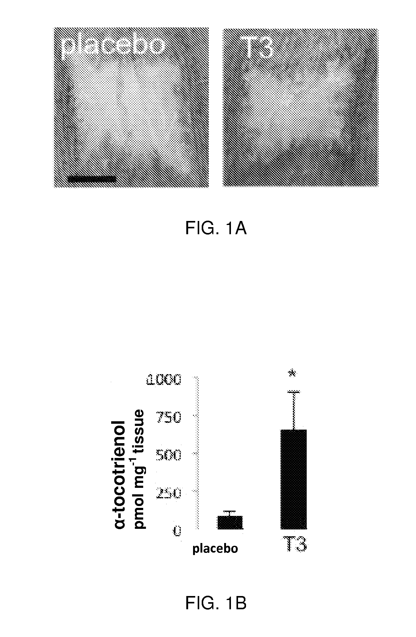 Methods for Treating Burn and Scar Injury using Tocotrienol Compositions