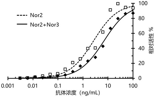 Nanometer antibody targeting norovirus protein and application thereof