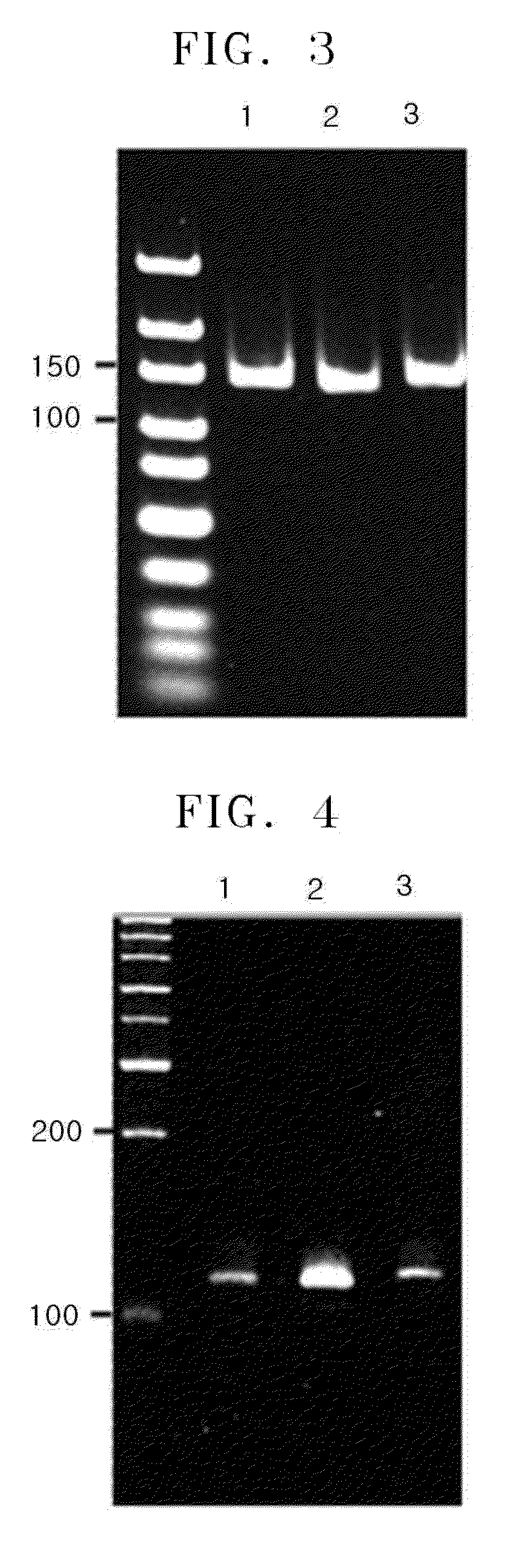 Method of amplifying DNA from RNA in a sample