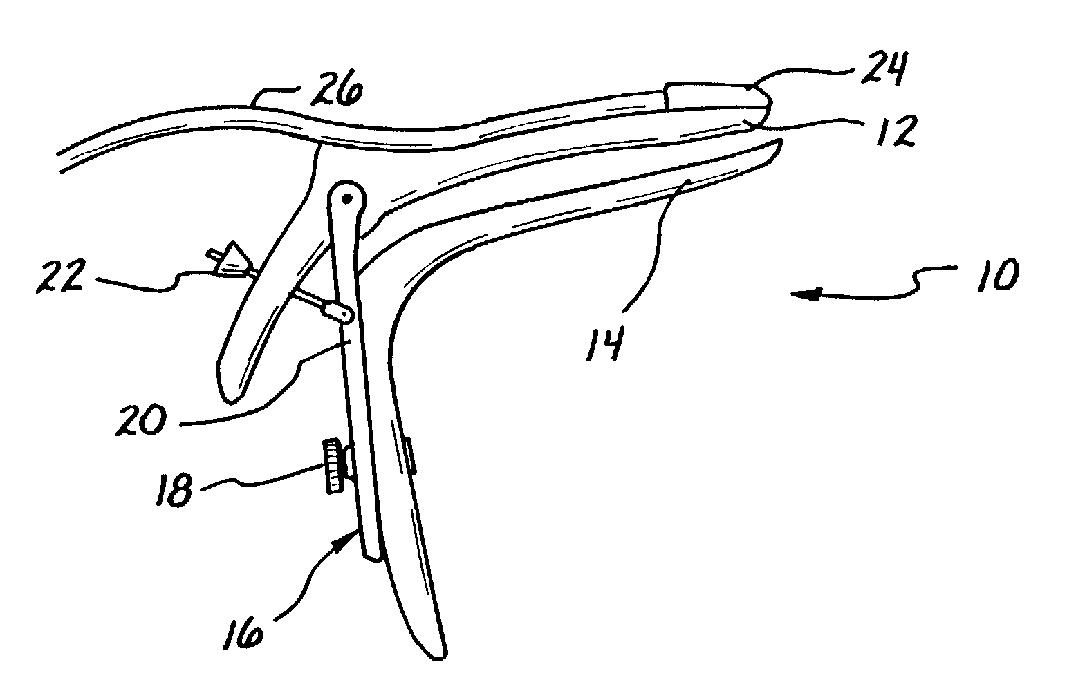 Speculum having ultrasound probe