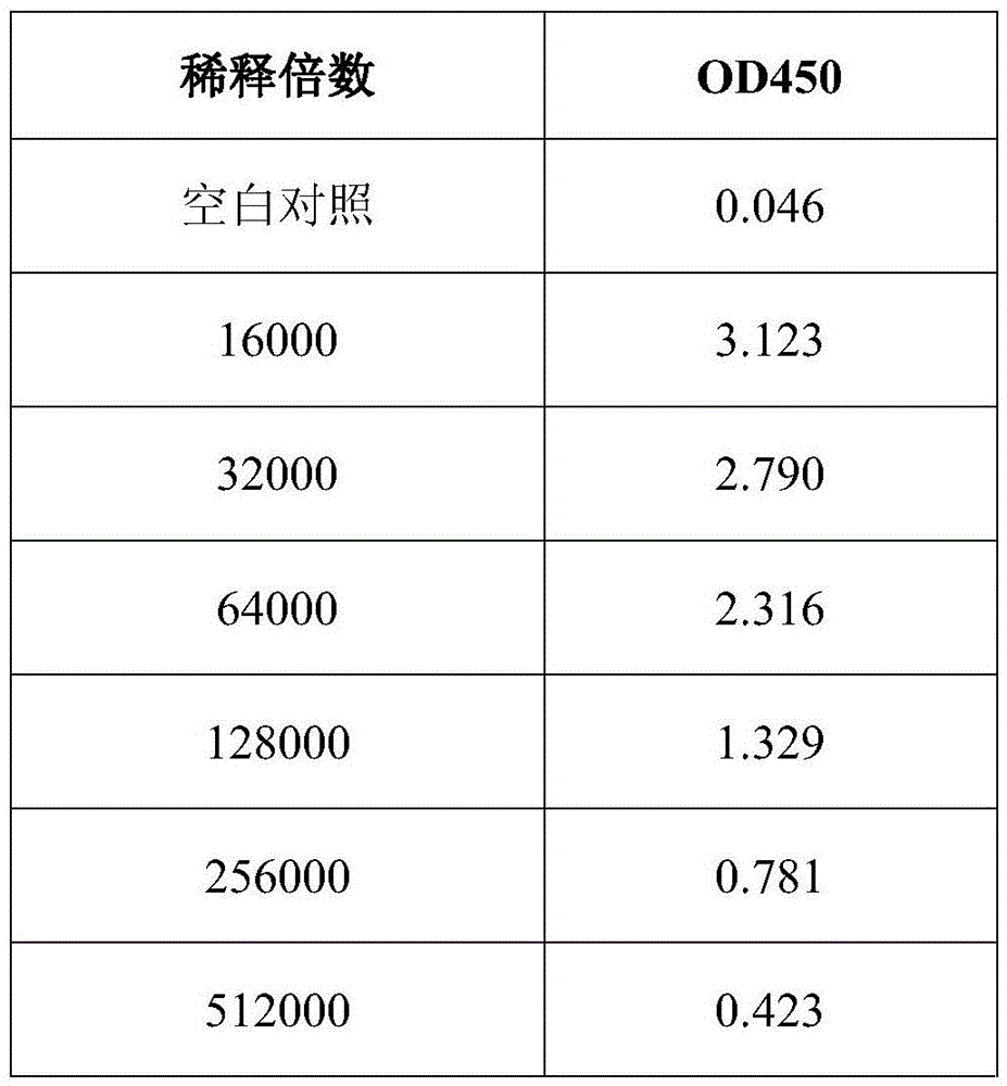 Polyclonal antibody of GXM (glucuronoxylomannan) of Cryptococcus neoformans and preparation method of polyclonal antibody