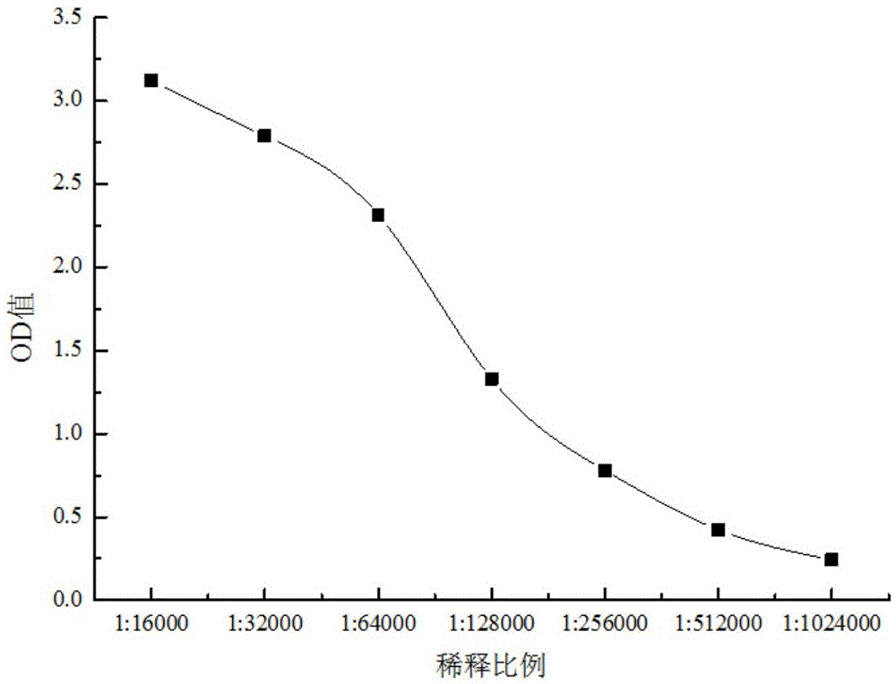 Polyclonal antibody of GXM (glucuronoxylomannan) of Cryptococcus neoformans and preparation method of polyclonal antibody