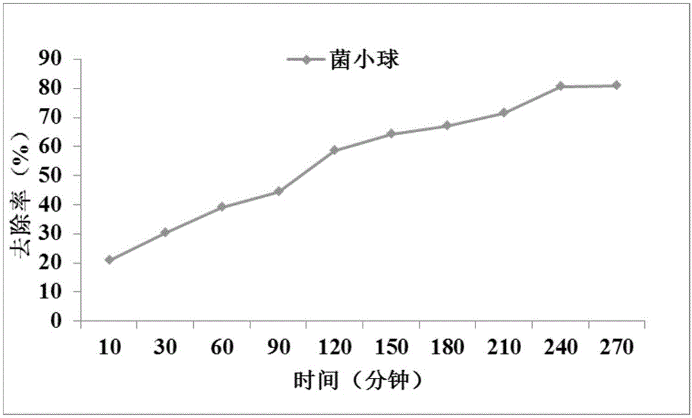 Brevendimonas vesicularis strain and application thereof in preparing immobilized microbial adsorbent