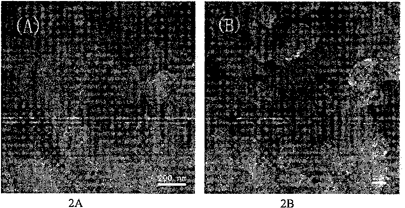 Polystyrene group hierarchical mesoporous carbon material, preparation method and application thereof