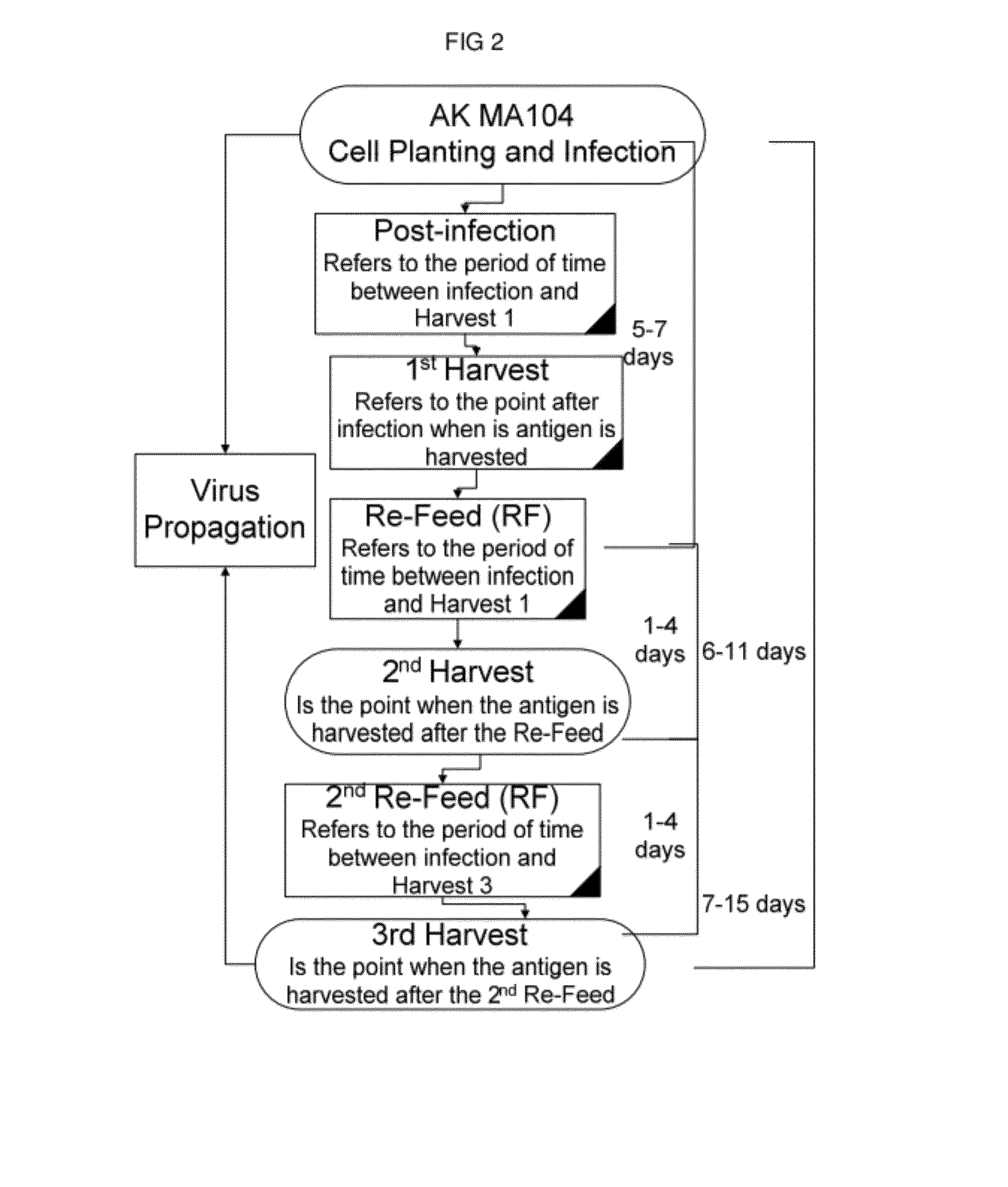 Commercial scale process for production of prrsv