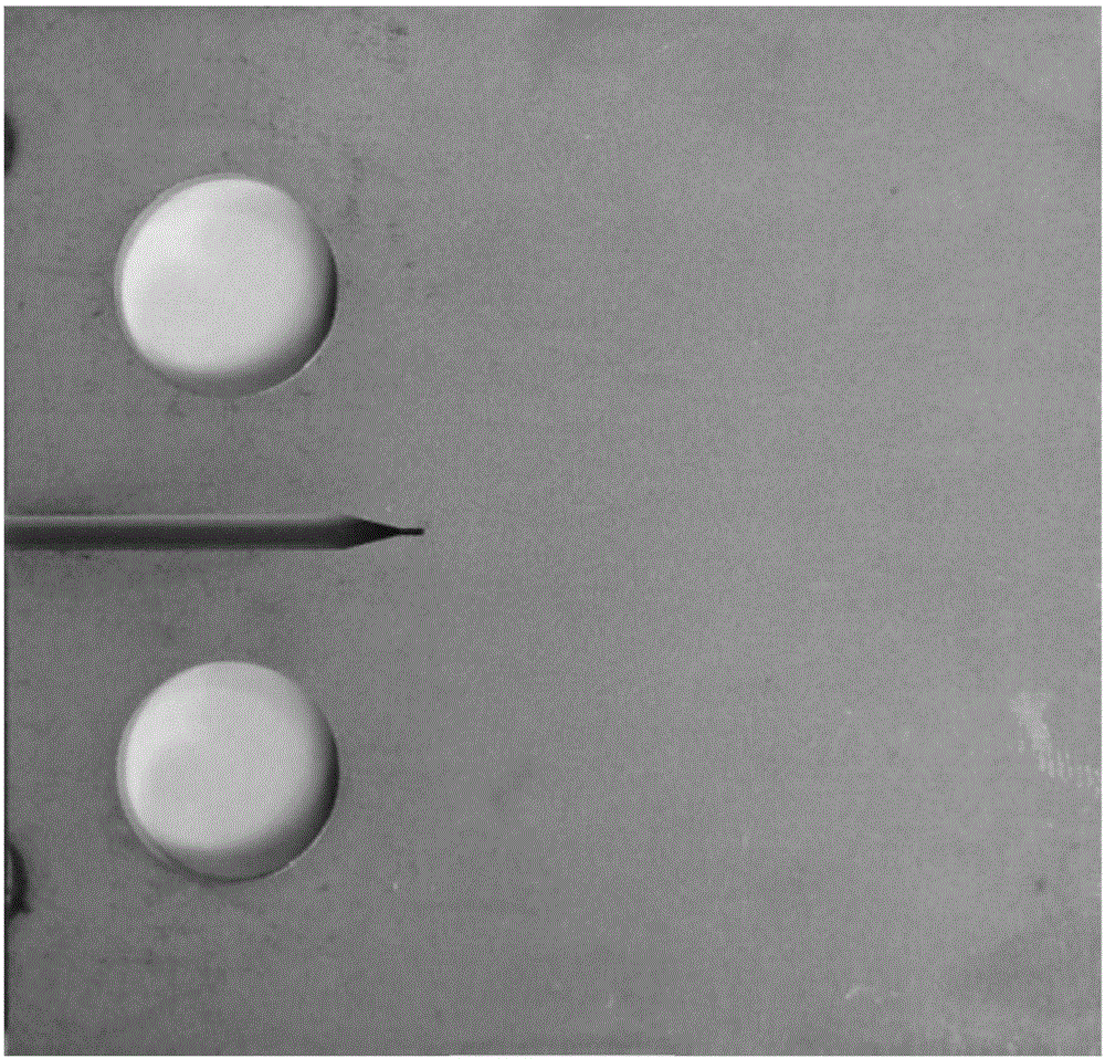 Method for repairing microcrack tip on stainless steel surface by means of nano-particles