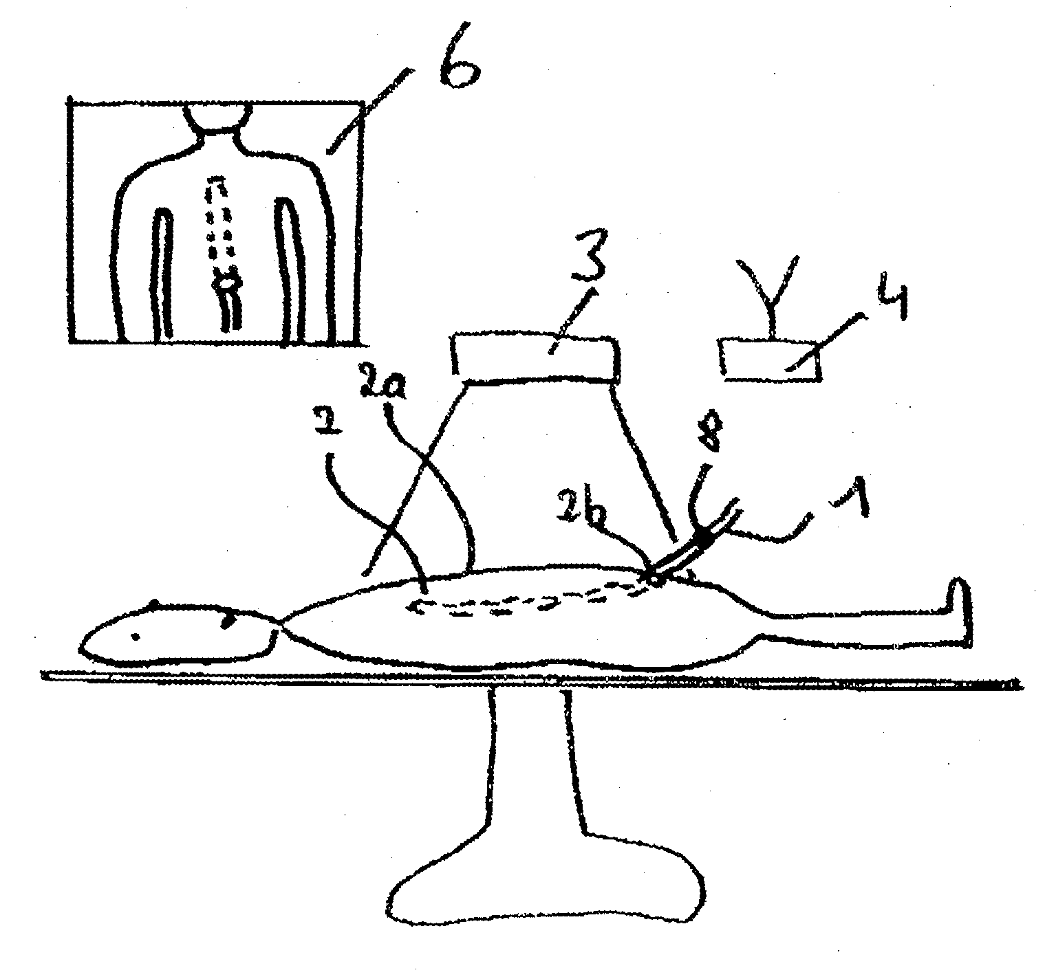 System for orientation assistance and display of an instrument in an object under examination particularly for use in human body