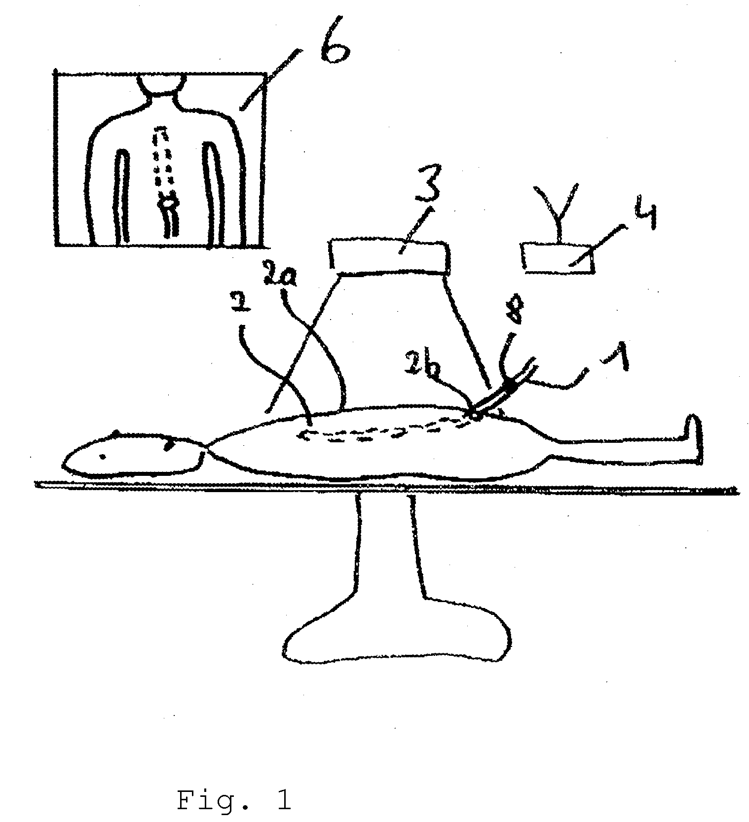 System for orientation assistance and display of an instrument in an object under examination particularly for use in human body