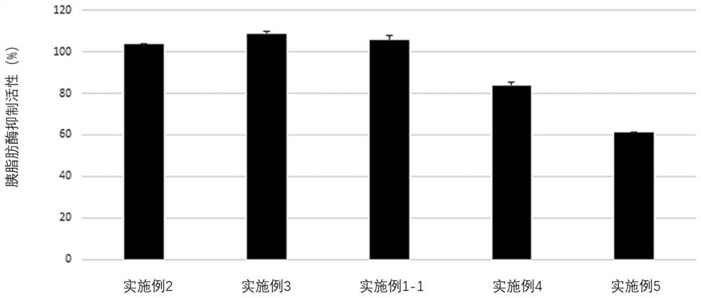 Composition for preventing, alleviating or treating metabolic syndrome accompanied by obesity and/or diabetes, containing, as active ingredient, complex (IB complex) of indian gooseberry extract and sprout barley extract