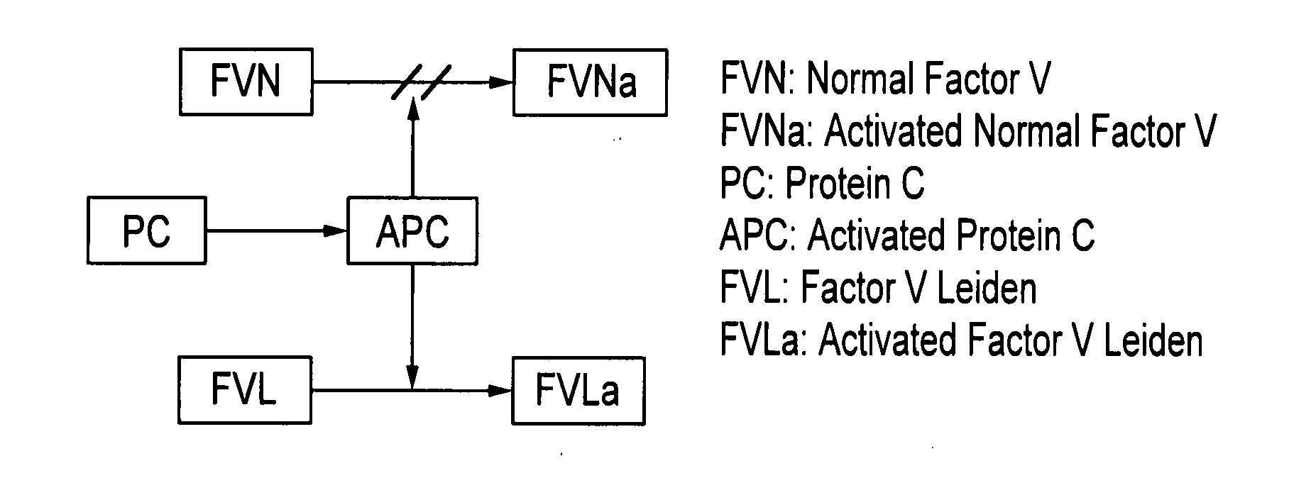 Sensors and methods for detecting diseases caused by a single point mutation