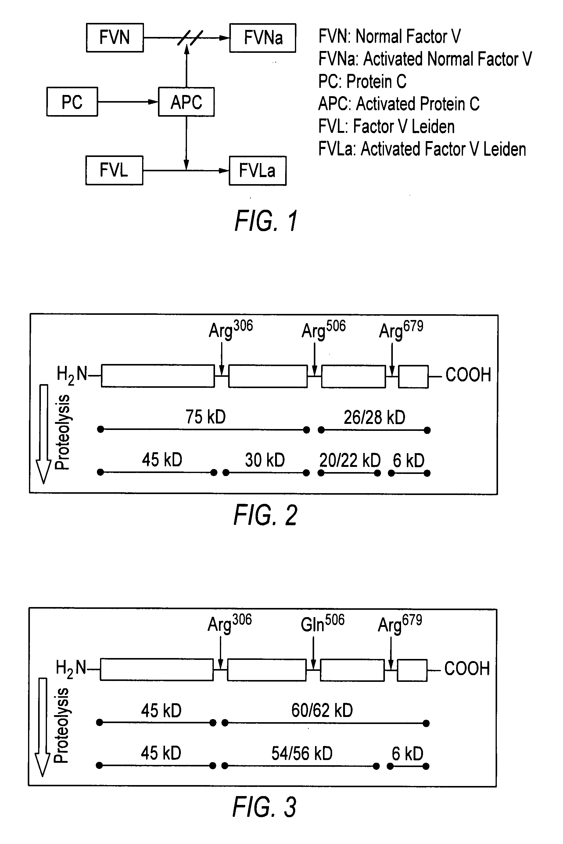 Sensors and methods for detecting diseases caused by a single point mutation