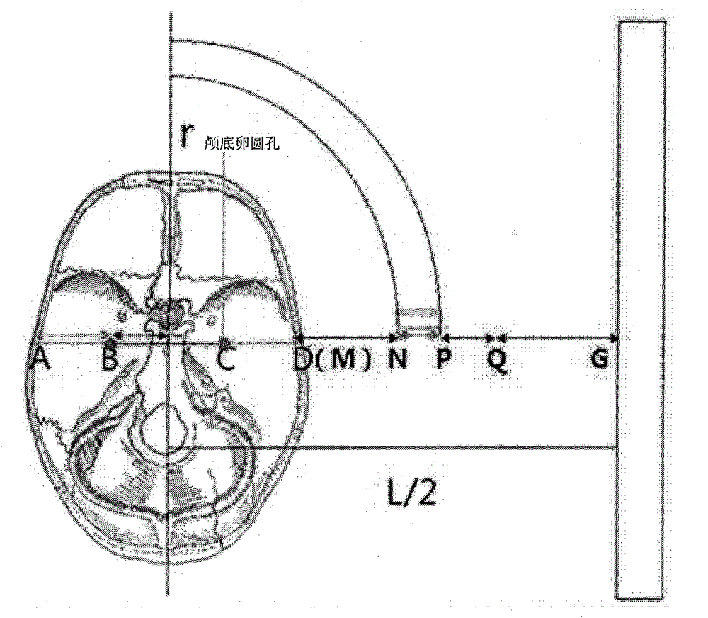 Puncture instrument for positioning center of oval foramen of cranial base