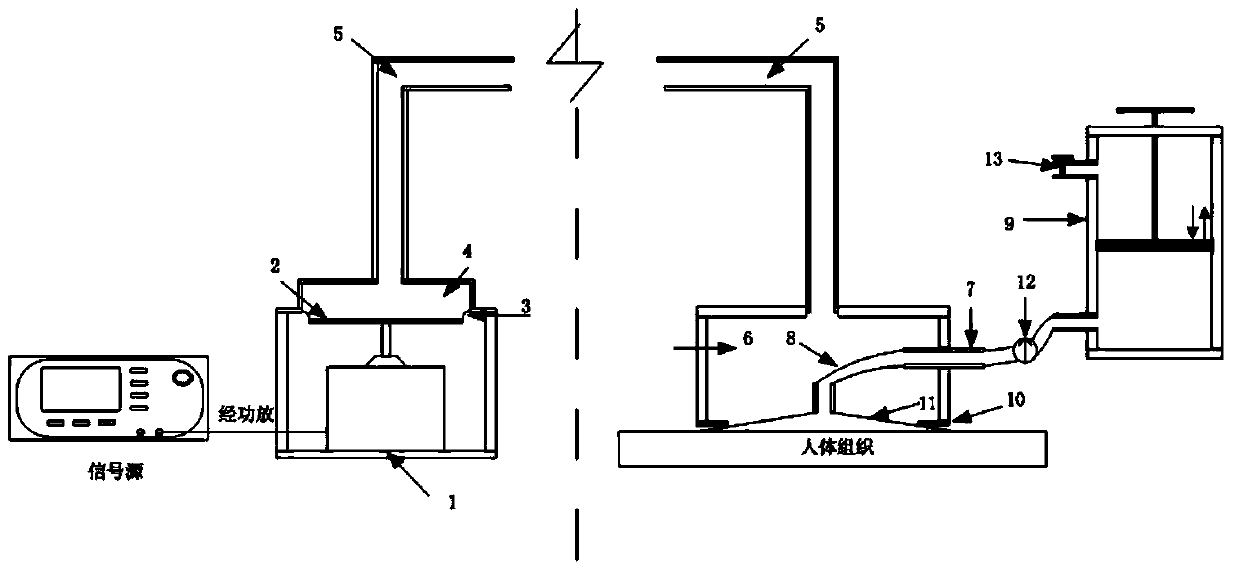 Magnetic resonance elastography active adsorption type bridging exciter