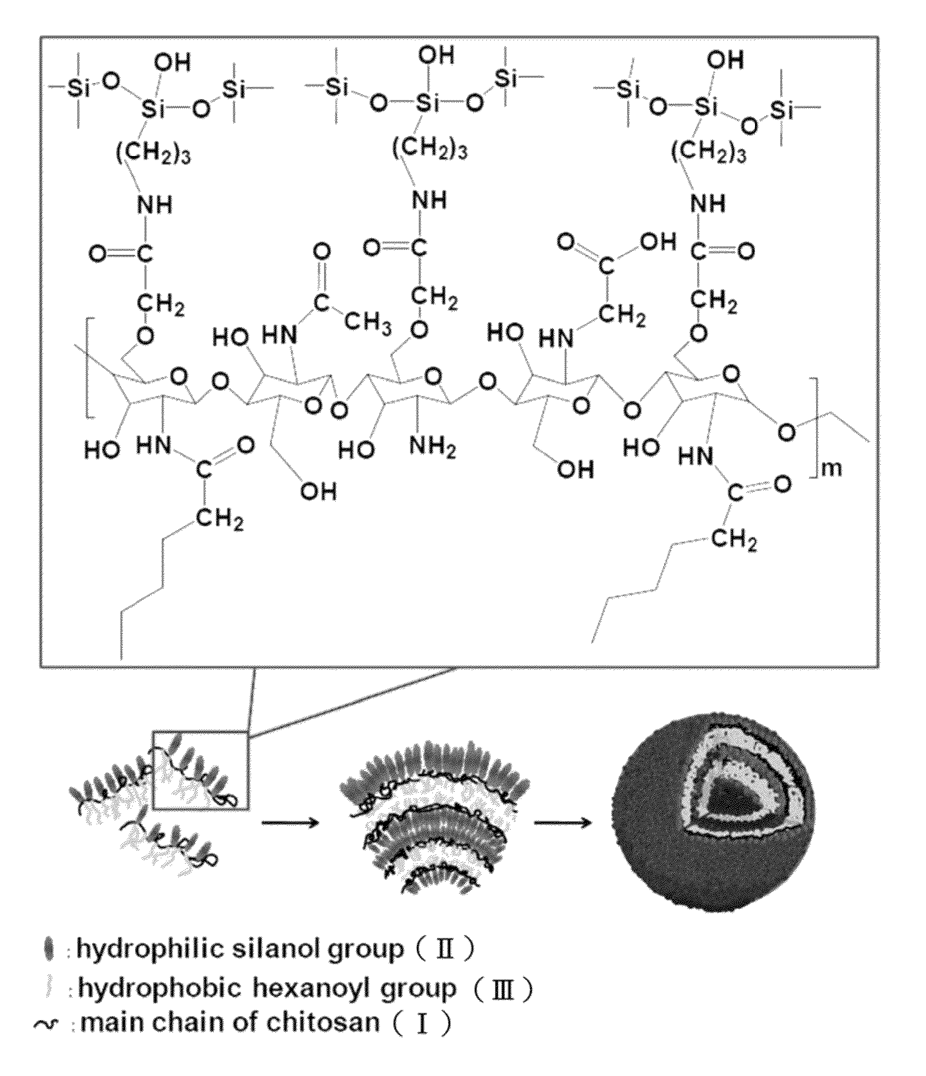 Drug-carrying contact lens and method for fabricating the same