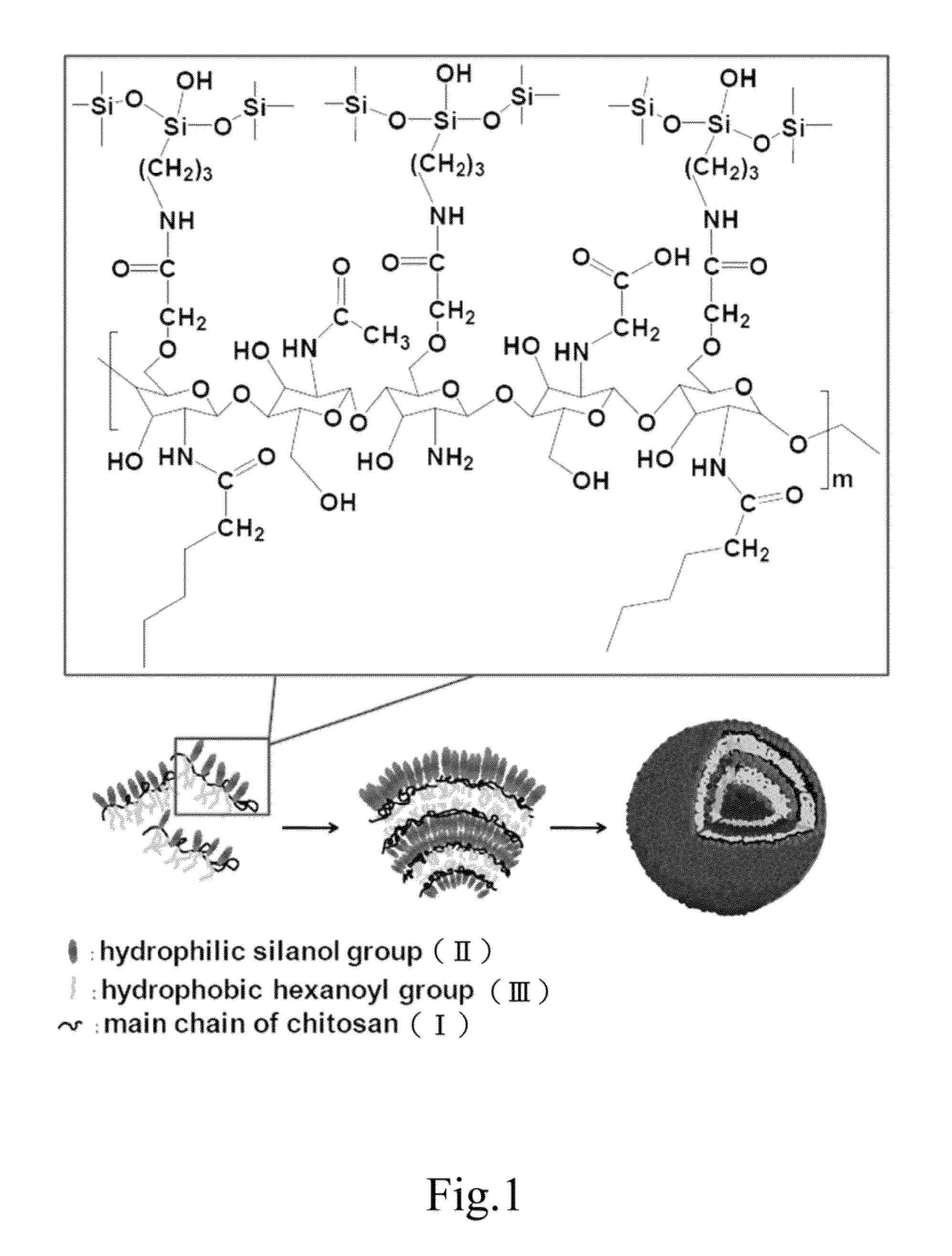 Drug-carrying contact lens and method for fabricating the same