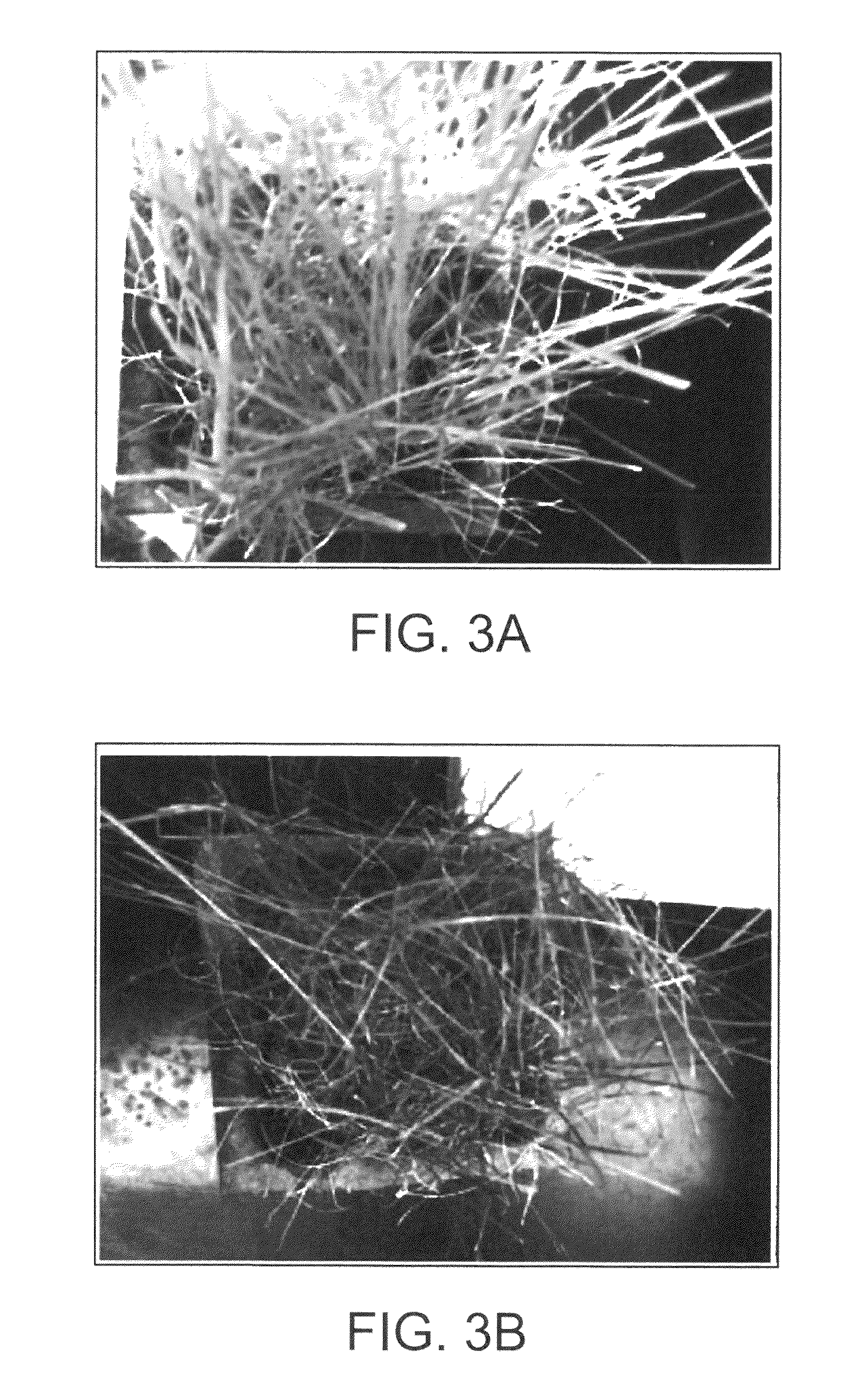 Method and apparatus to selectively use UV to control organisms associated with plants and unwanted plant species