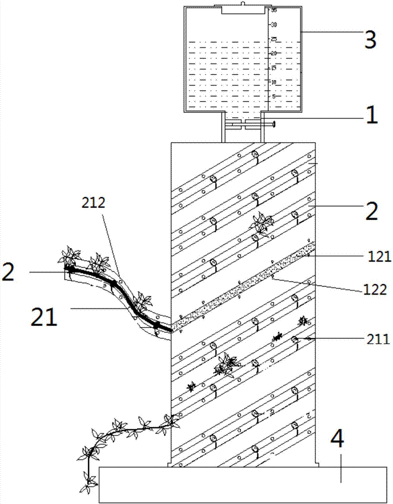 Akebia trifoliate layer seedling box and akebia trifoliate layer seedling method