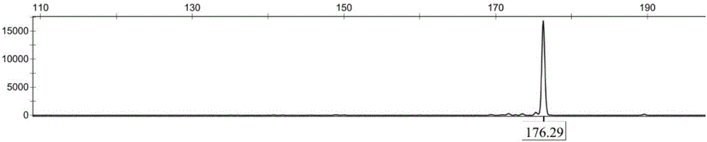 Primer combination for constructing wolfberry DNA fingerprint spectrum, and applications and method