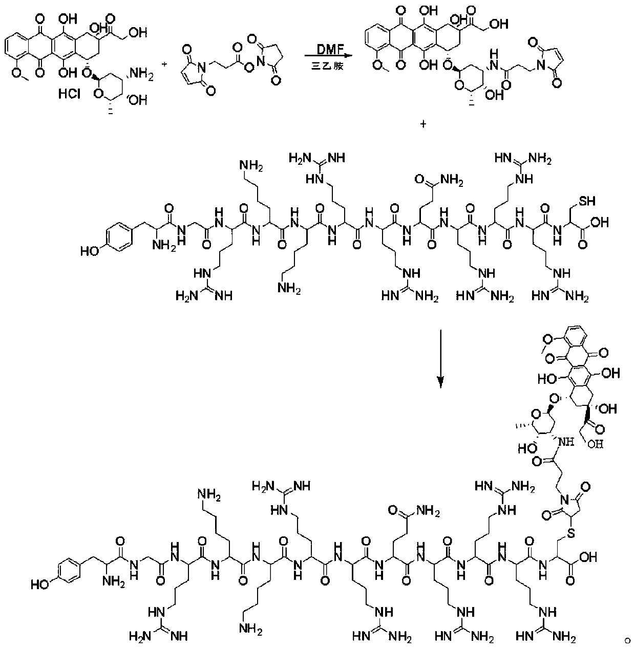 Method for synthesizing doxorubicin-coupled targeting polypeptide