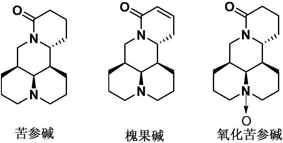 Application of group of thio-matrine derivative and salts thereof to preparation of anti-osteoporosis medicament