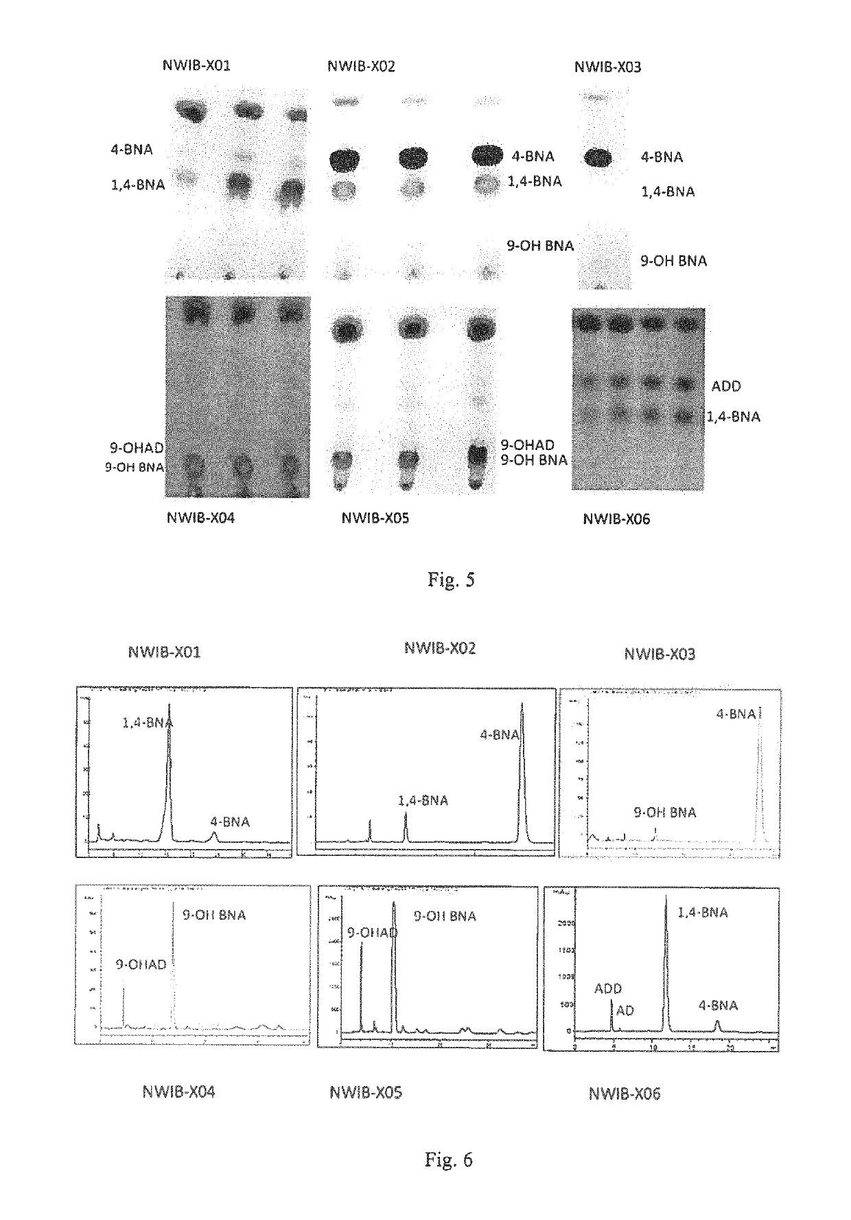 Hydroxyacyl-coenzyme A dehydrogenase gene, an acyl-coenzyme A thiolase gene, genetically engineered strains and a use thereof