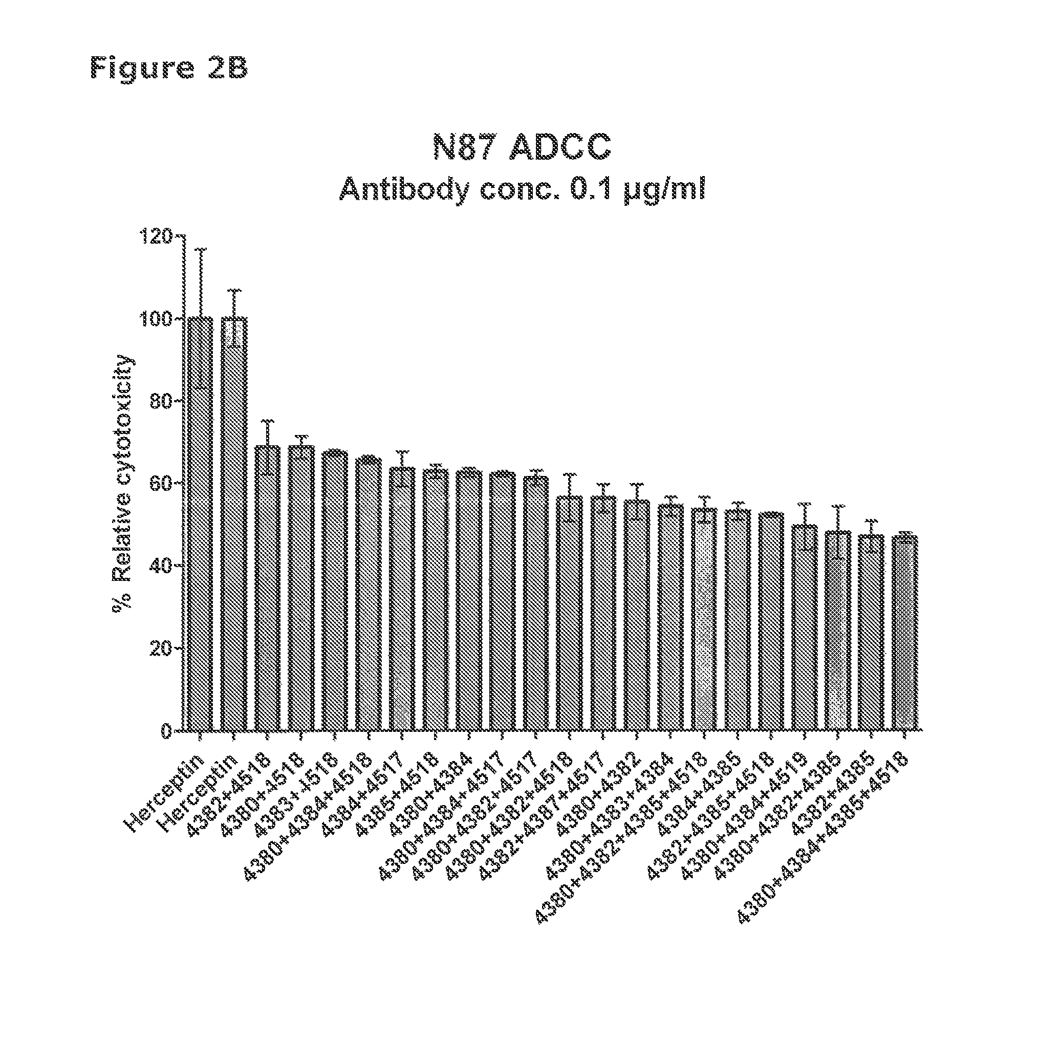 Anti-HER2 antibodies and compositions