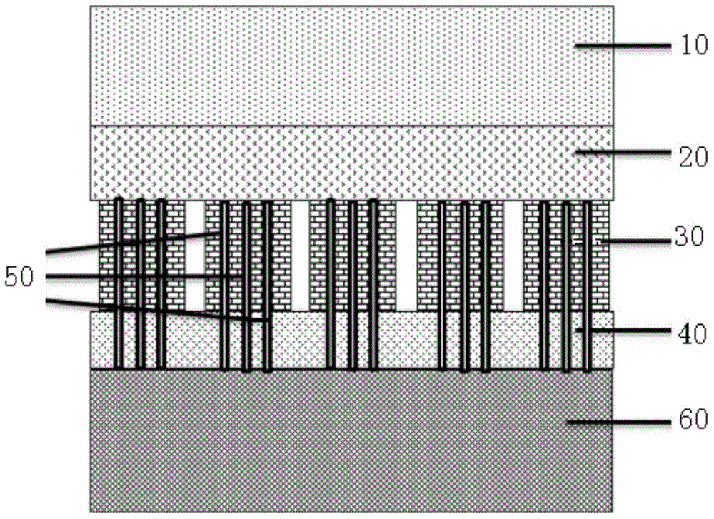 Back-contact solar cell assembly