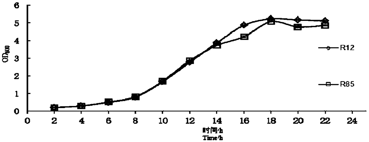 Yeast strain and application thereof