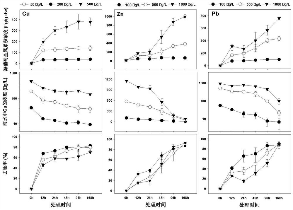 Optimized treatment method for removing heavy metals in seawater based on salinity and ion regulation