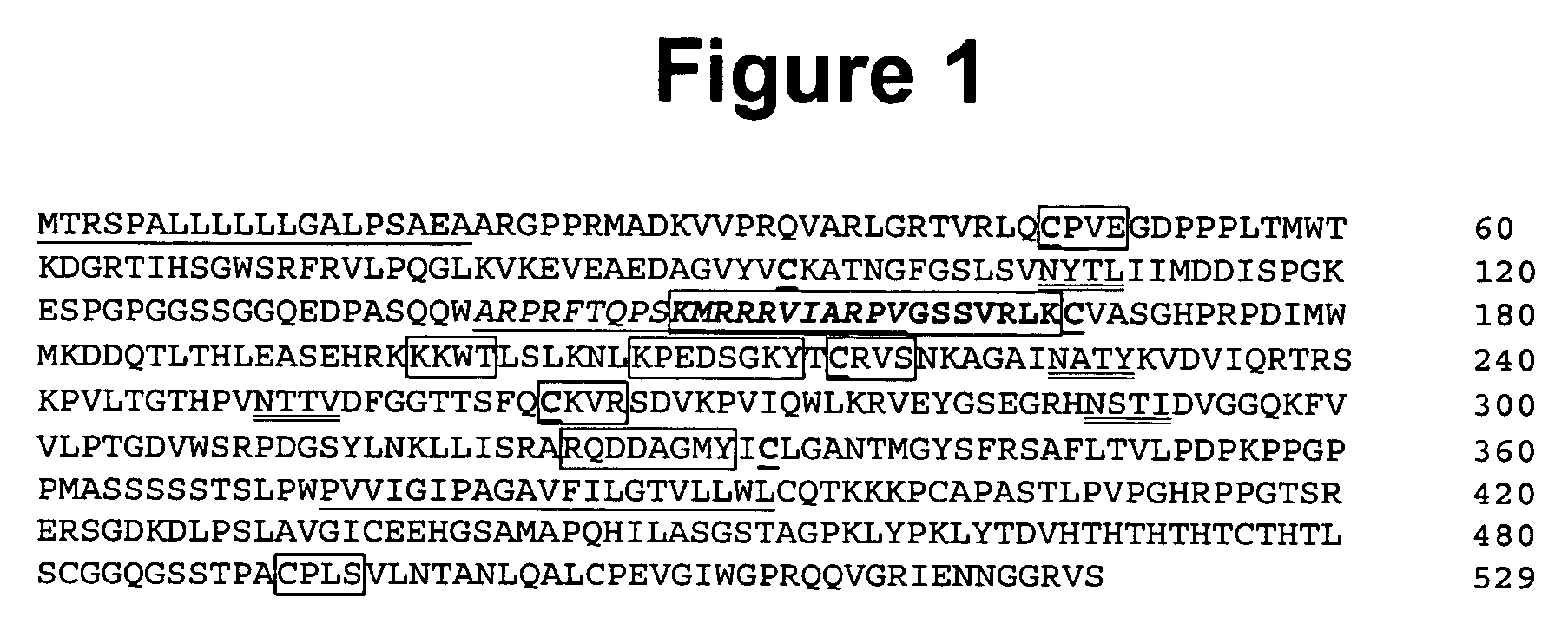 Methods for enhancing immune responses by fibroblast growth factor receptor 5 polypeptides