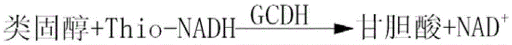 Determination reagent for glycocholic acid and preparation method of determination reagent