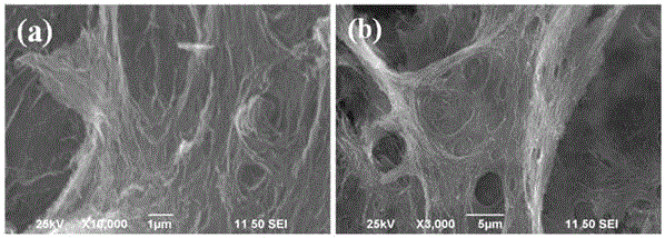 Carbon sponge material and preparation method and application thereof