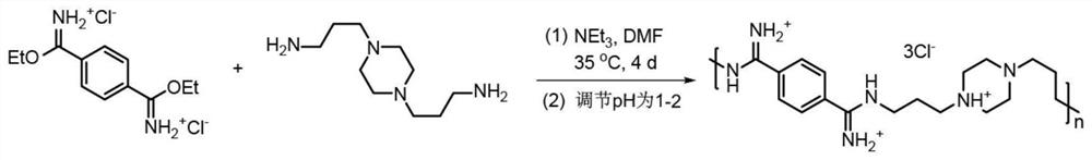 A kind of antibacterial amidine oligomer with anti-drug resistance and its preparation method and application