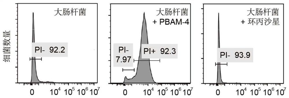 A kind of antibacterial amidine oligomer with anti-drug resistance and its preparation method and application