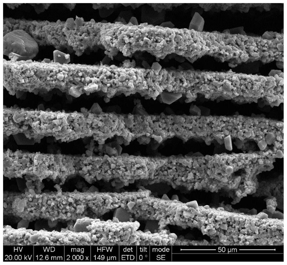 Shell-like structure bionic composite phase-change heat storage material and preparation method thereof