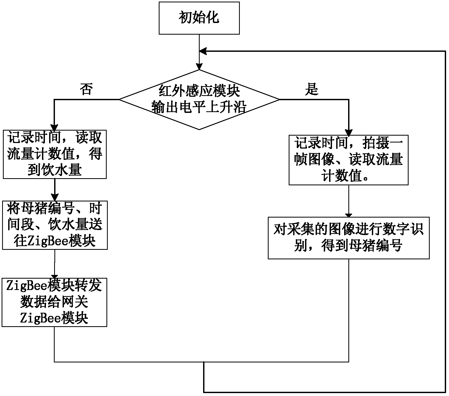 System and method for wirelessly monitoring water drinking behavior of sows raised in group based on machine vision technology